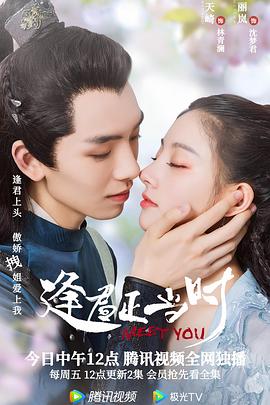 网络迷情 封面图